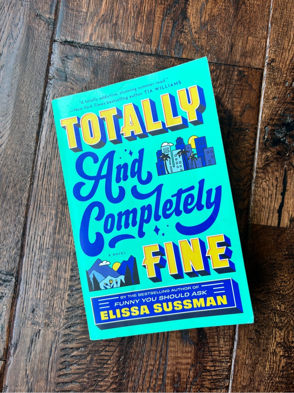 Totally and completely fine paperback book novel by Elissa Sussman